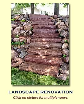 Landscape Renovation